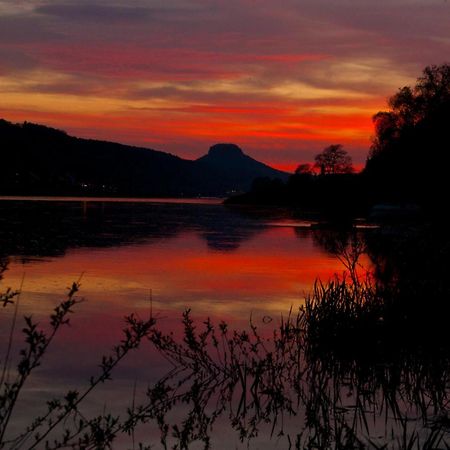 Pension Fuhrmann'S Elb- Cafe Bad Schandau Luaran gambar