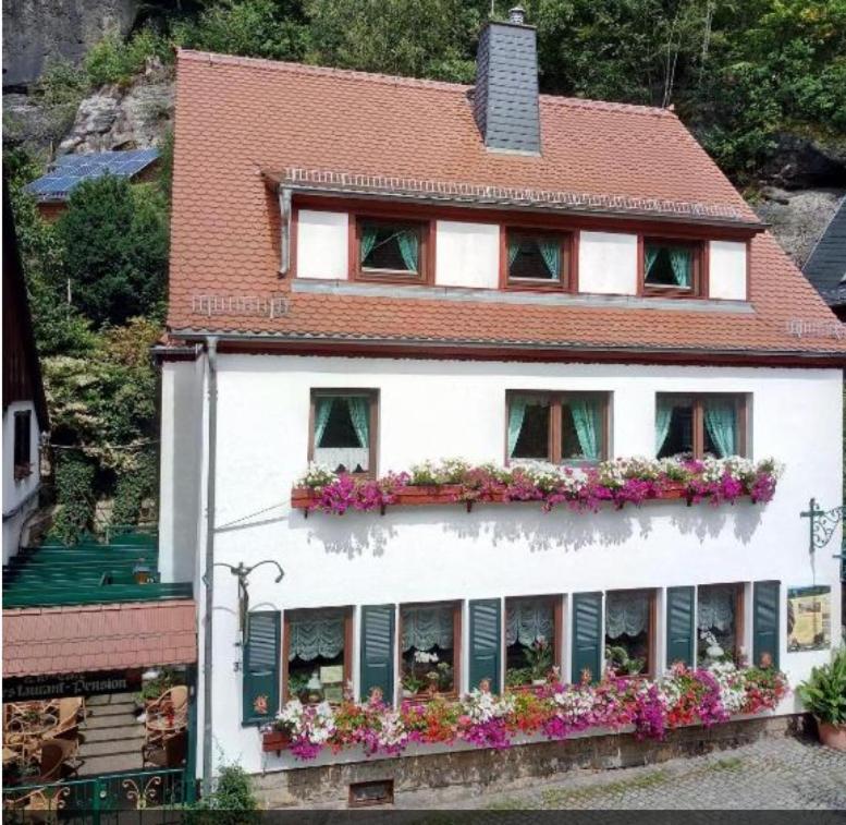 Pension Fuhrmann'S Elb- Cafe Bad Schandau Luaran gambar