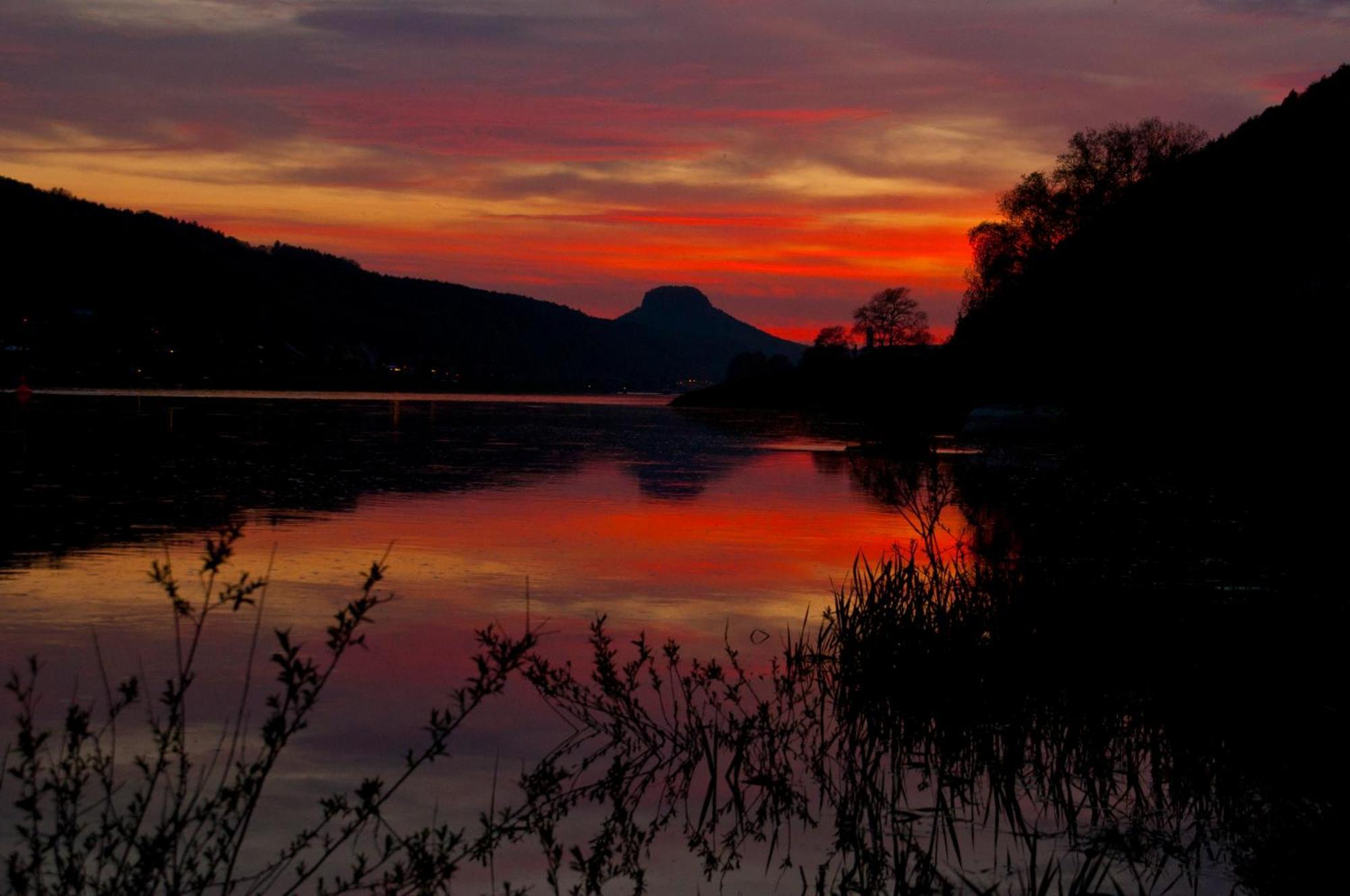Pension Fuhrmann'S Elb- Cafe Bad Schandau Luaran gambar