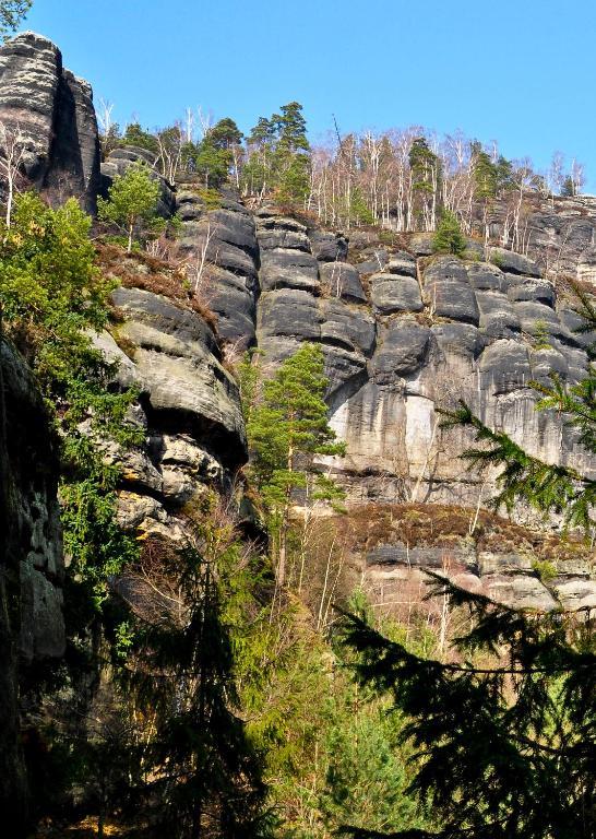 Pension Fuhrmann'S Elb- Cafe Bad Schandau Bilik gambar